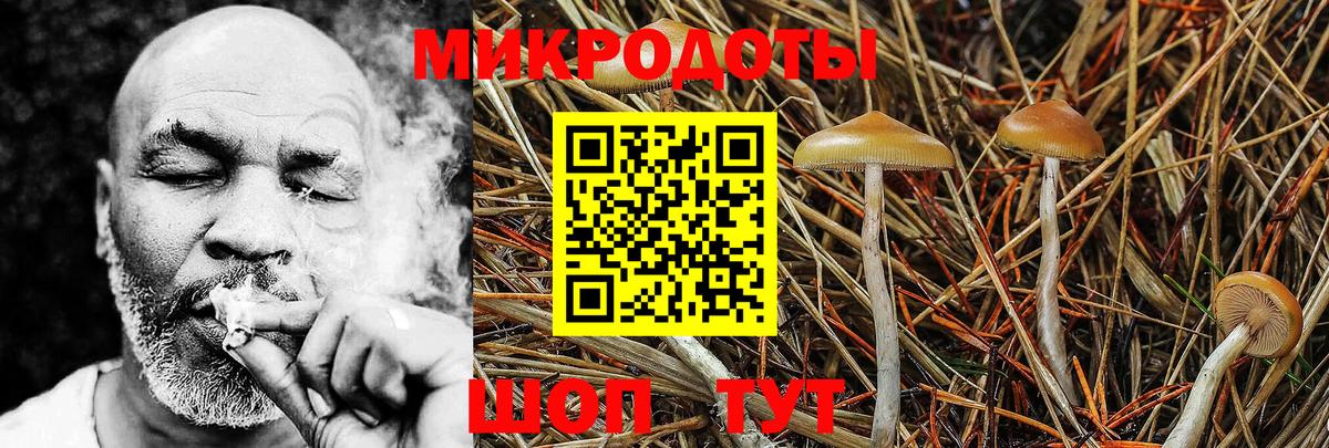 купить закладку  Вход с VPN  Майский  Псилоцибиновые грибы Magic Shrooms 